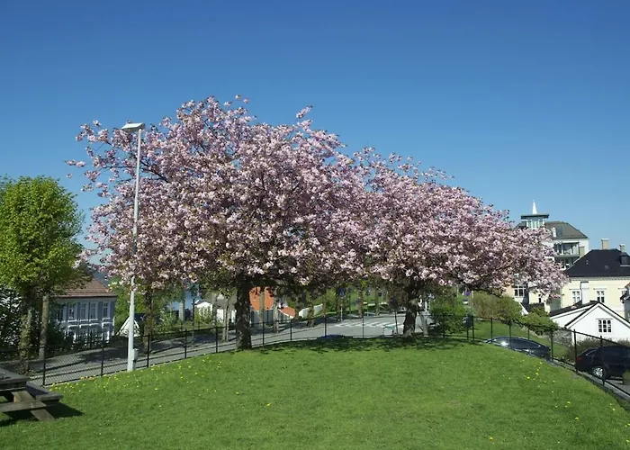 Historic House, Right In The Middle Of Everything! Bergen